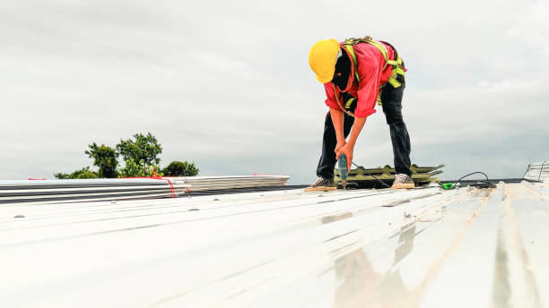 Best Cold Roofs  in Alpine, TX