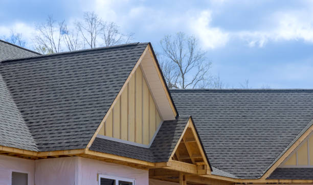 Best Asphalt Shingles Roofing  in Alpine, TX